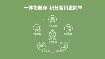 云中鹤系统 积分营销为企业增效赋能